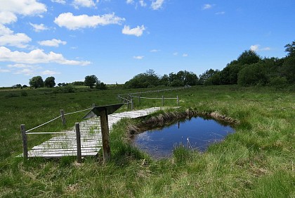 Le sentier de l'Azuré des Mouillères