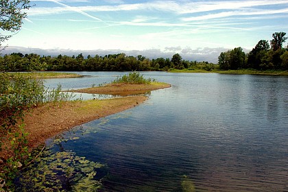 Le sentier de l'Etang du Pacage