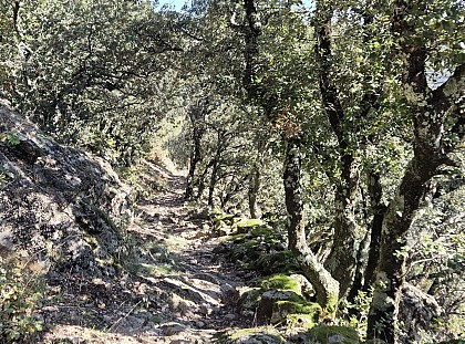 Sentier de Mauripe