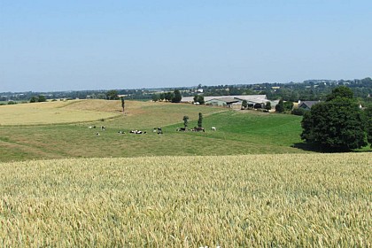 Vélo Promenade® n°8 : Les deux rivières