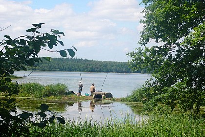 Sentier de l'Etang du Boulet