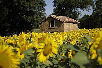 Circuit n°6 (rouge) VTT - En Route pour la Navarre