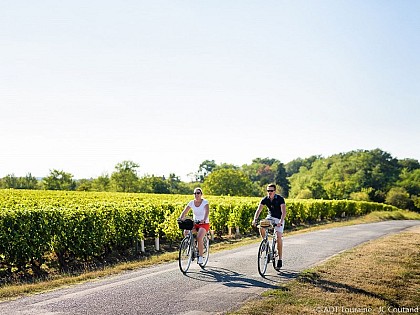 Loire & Terroir - Circuit n°12