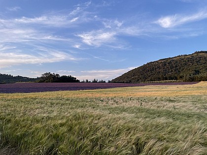VTT n°23 - Le tour de Tigne