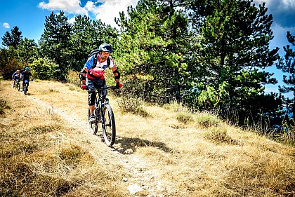 VTT n°24 - Le chemin des Oliviers