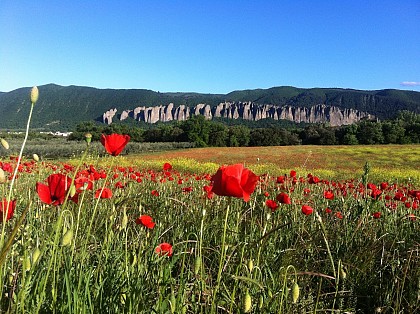 VTT n°25 - Le grand tour des Pénitents