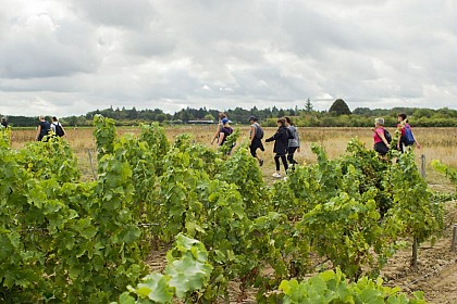Circuit des Bernadettes