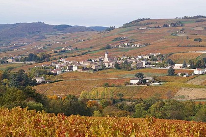 Circuit de la Combe Vineuse