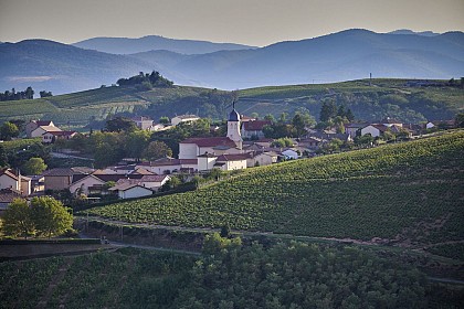 Circuit de Chiroubles