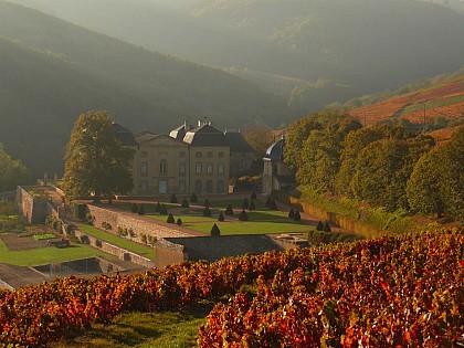 Circuit Feuille de vigne