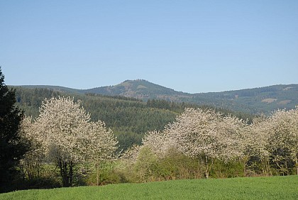 Parcours de trail Grand tour du massif du Saint Rigaud