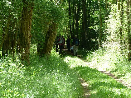 Circuit de la croix de pierre
