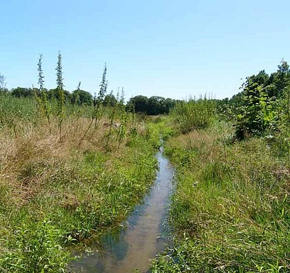 Le tour de l'île de Navière