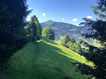 Marcheurs confirmés Le Bois des Têtes