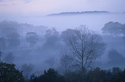 La forêt de Beffou en Loguivy-Plougras en Vallée du Léguer