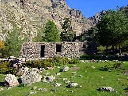 Le sentier de transhumance