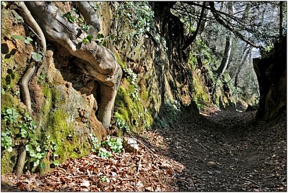 Autour de Plouaret en Vallée du Léguer