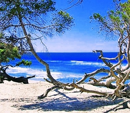 De Calvi au Désert des Agriates