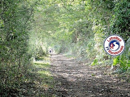 Sentier de Boudet - BEAULIEU SOUS LA ROCHE (85)