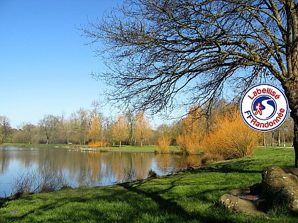 Sentier du Coudray - MARTINET (85)