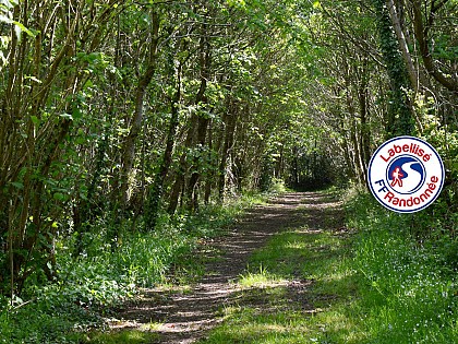 Sentier du Beignon - SAINTE FLAIVE DES LOUPS (85)