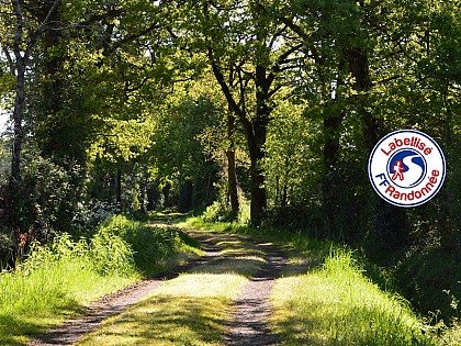 Sentier du Pas de l'Enfer - SAINTE FLAIVE DES LOUPS (85)