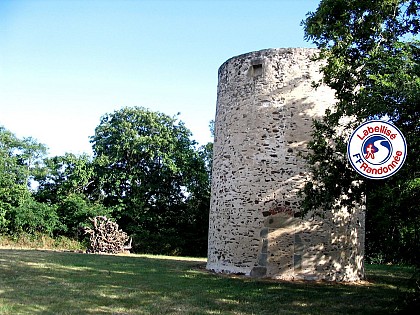 Sentier des Moulins - LA CHAPELLE HERMIER (85)