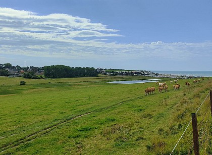 Circuit N°10 - La Basse Vallée du Dun