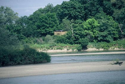 Balade famille : Sentier de découverte du Passeur du Bec d'Allier