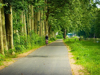 La véloroute Nevers-Le Guétin