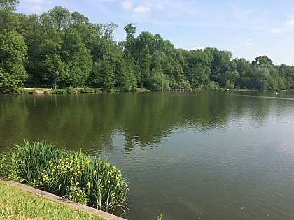 Bussy-Saint-Georges through parks and gardens by bike