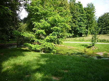 Chanteloup-Conches-Gouvernes by bike