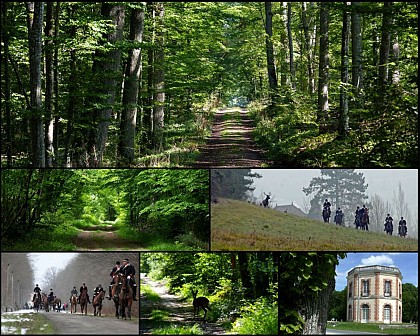 En forêt de Dreux, départ Montreuil