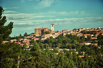 ENTRE VIGNES ET OLIVIERS