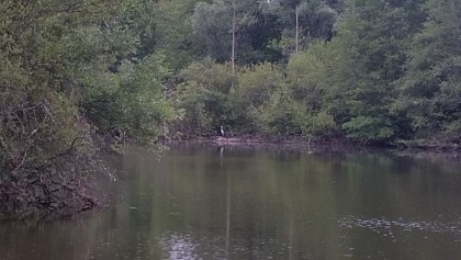 克拉雷特池塘环路