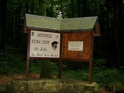 Le sentier de Job le bûcheron en Loguivy-Plougras