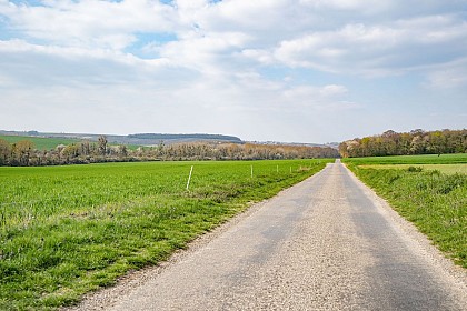 PR 121 - Boucle des Marais de Vert