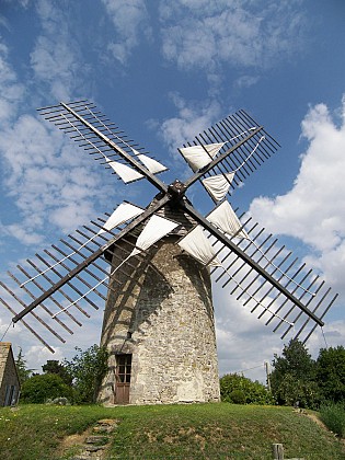 Sentier de la Bourgadine - Bournezeau