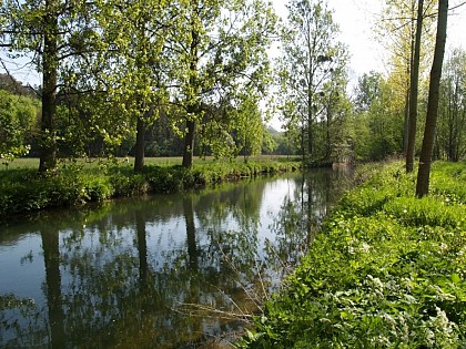 Promenade des Chevreuils - BR 01 - 10,5 km