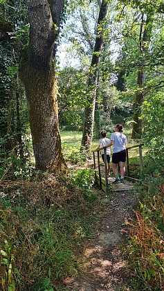 Sentier des Bruyères - Saint Hilaire le Vouhis