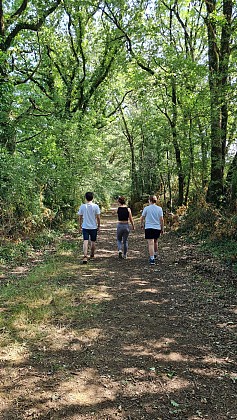 Sentier des Jonquillles - Saint Hilaire le Vouhis