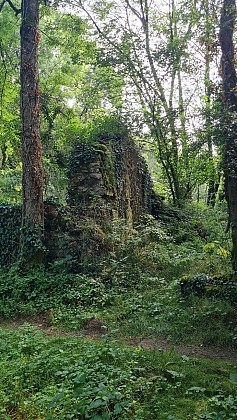 Sentier des Farfadets - Chantonnay