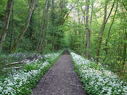Promenade de Beaufort - Solières