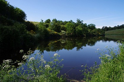 Sentier de la Vouraie - Bournezeau - Saint Hilaire le Vouhis
