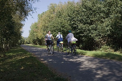 Questembert vélopromenade n°23