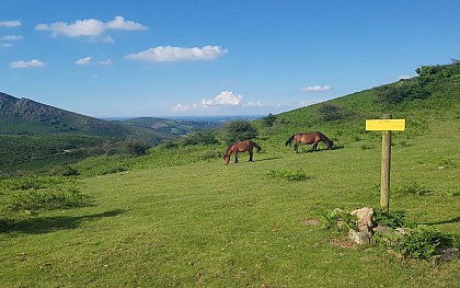 Le sentier des contrebandiers - De Sare à Biriatou - équestre