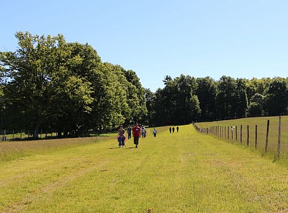 Sentier de la Briance