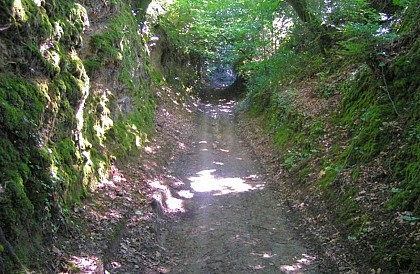Péaule: Circuit 4 du Site VTT-FFC La Roche-Bernard (OFFICIEL)