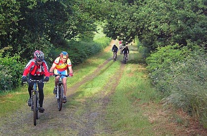 Péaule: Circuit 5 du Site VTT-FFC La Roche-Bernard (OFFICIEL)