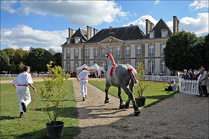 A vélo d'Argentan au Haras du Pin